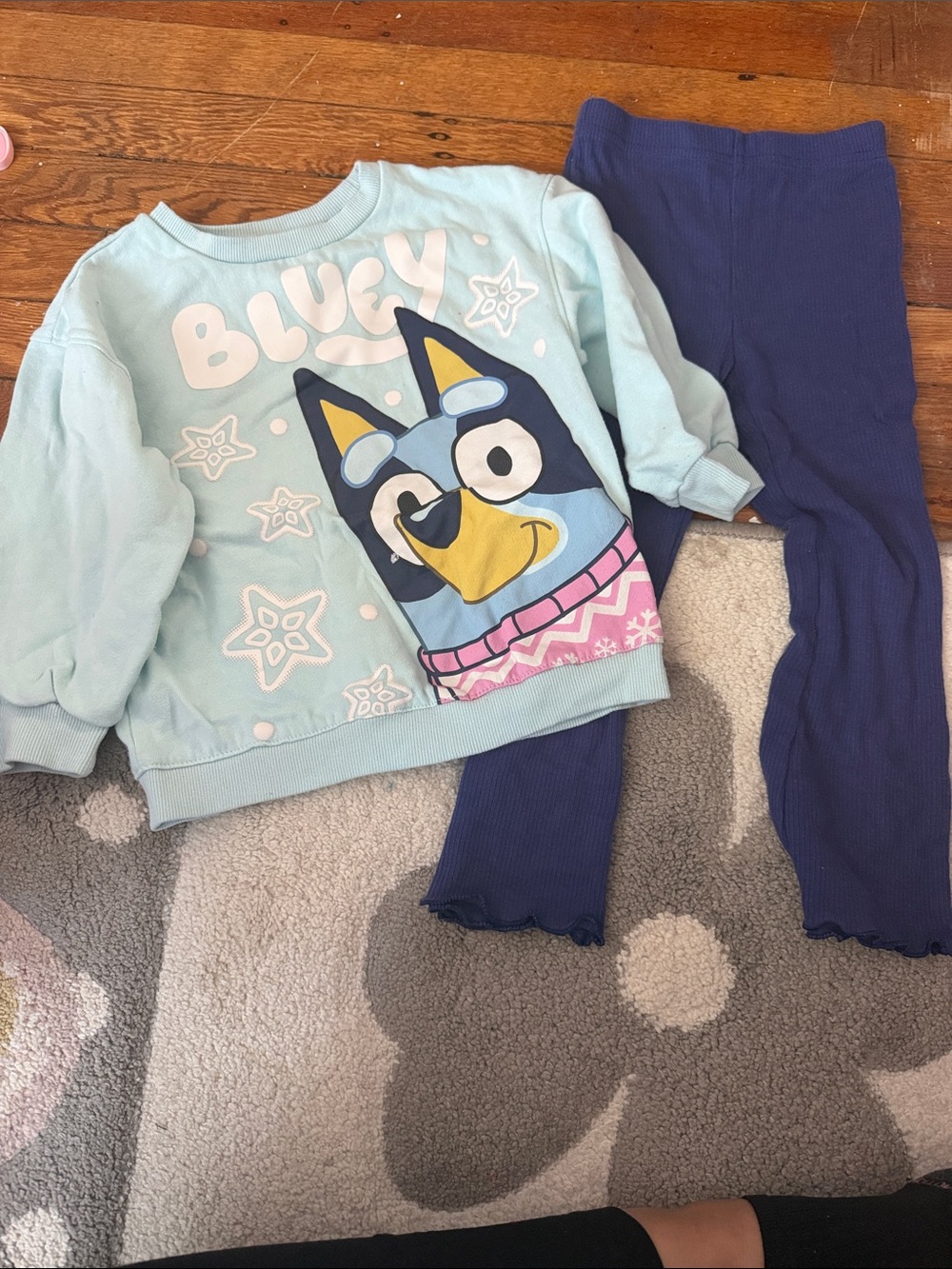 Toddler girls bluey set